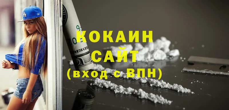 наркотики  Новоузенск  COCAIN FishScale 