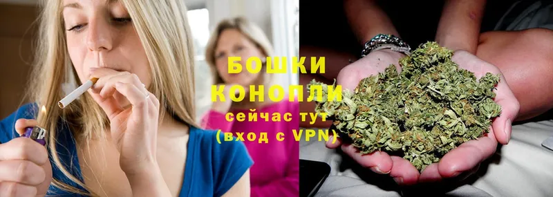 ссылка на мегу онион  Новоузенск  Каннабис Ganja 